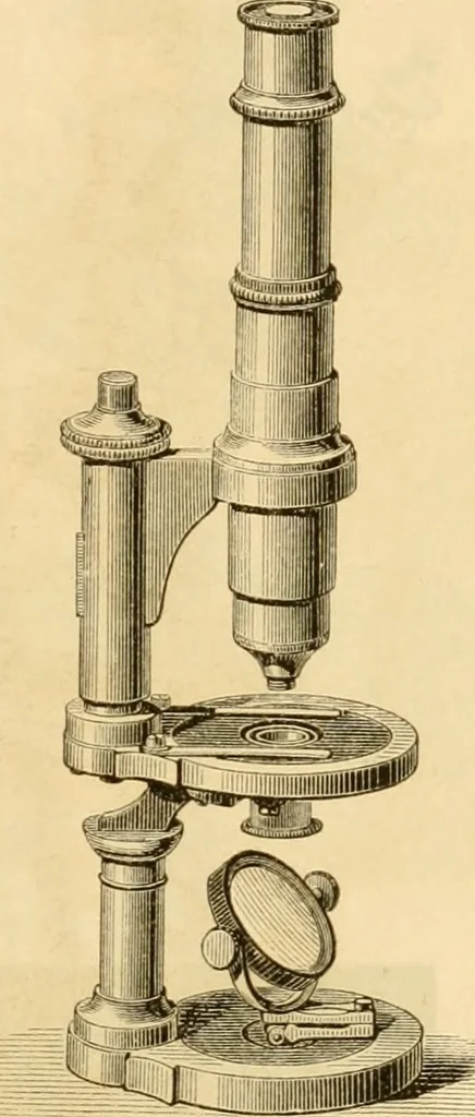 An illustration from Das Mikroskop, Theorie und Anwendung desselben, 1867, leaf 128