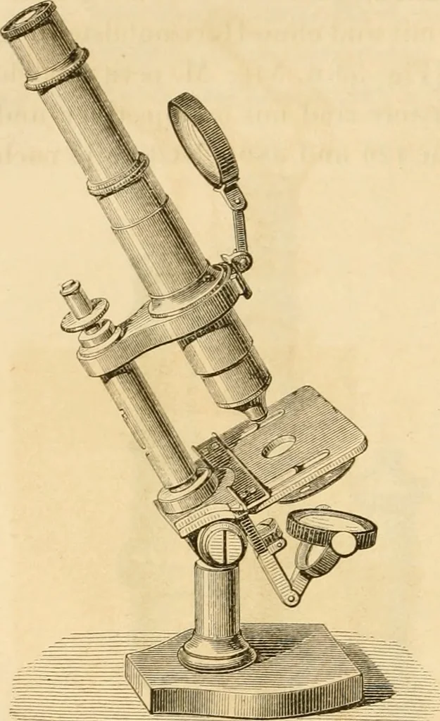 An illustration from Das Mikroskop, Theorie und Anwendung desselben, 1867, leaf 129
