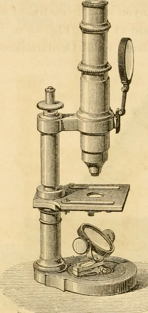 An illustration from Das Mikroskop, Theorie und Anwendung desselben, 1867, leaf 129