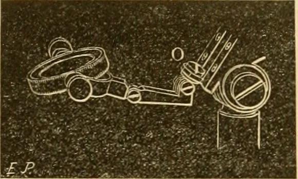 An illustration from Das Mikroskop, Theorie und Anwendung desselben, 1867, leaf 129