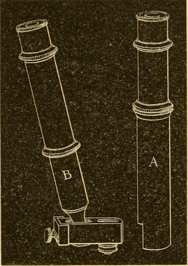 An illustration from Das Mikroskop, Theorie und Anwendung desselben, 1867, leaf 131