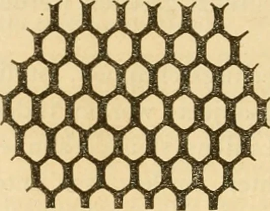 An illustration from Das Mikroskop, Theorie und Anwendung desselben, 1867, leaf 155