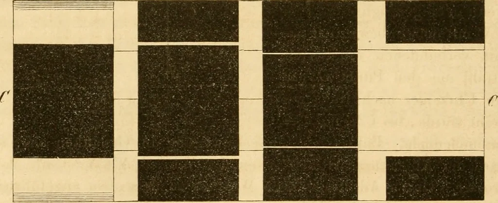An illustration from Das Mikroskop, Theorie und Anwendung desselben, 1867, leaf 227
