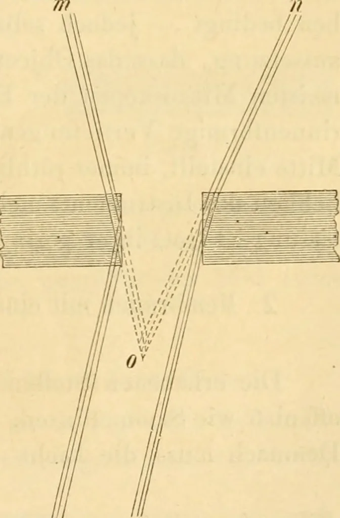 An illustration from Das Mikroskop, Theorie und Anwendung desselben, 1867, leaf 230