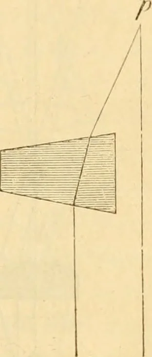 An illustration from Das Mikroskop, Theorie und Anwendung desselben, 1867, leaf 242