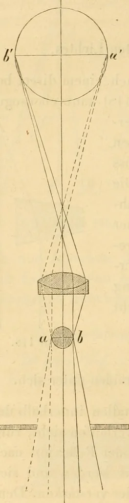 An illustration from Das Mikroskop, Theorie und Anwendung desselben, 1867, leaf 243