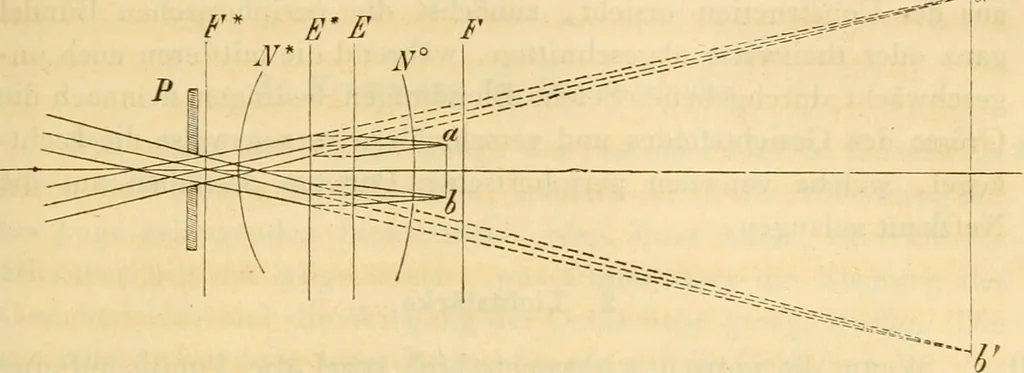 An illustration from Das Mikroskop, Theorie und Anwendung desselben, 1867, leaf 258