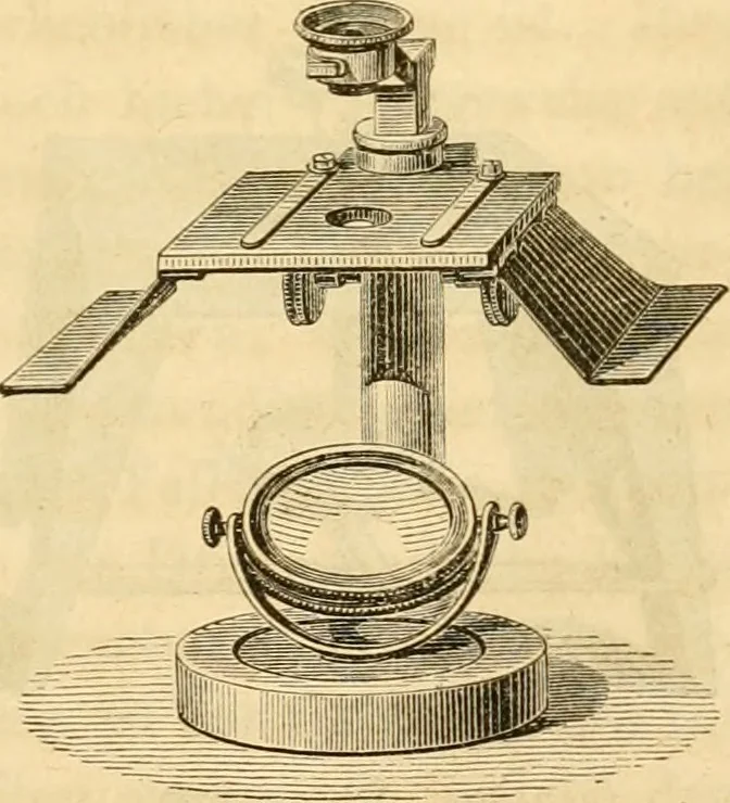 An illustration from Das Mikroskop, Theorie und Anwendung desselben, 1867, leaf 268