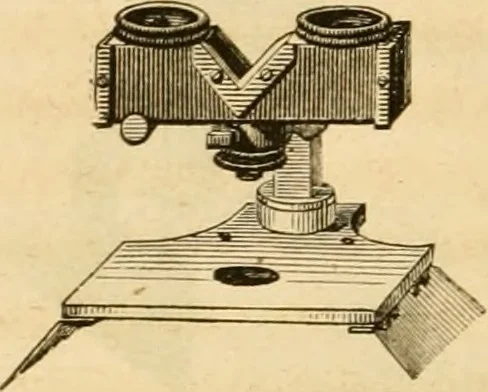 An illustration from Das Mikroskop, Theorie und Anwendung desselben, 1867, leaf 269