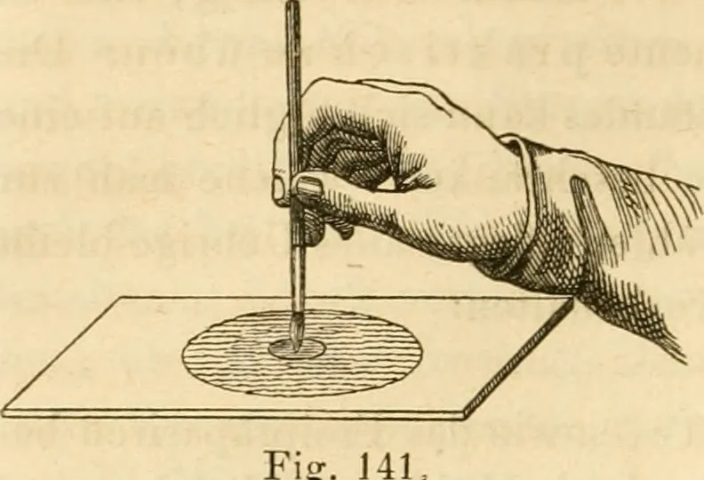 An illustration from Das Mikroskop, Theorie und Anwendung desselben, 1867, leaf 281