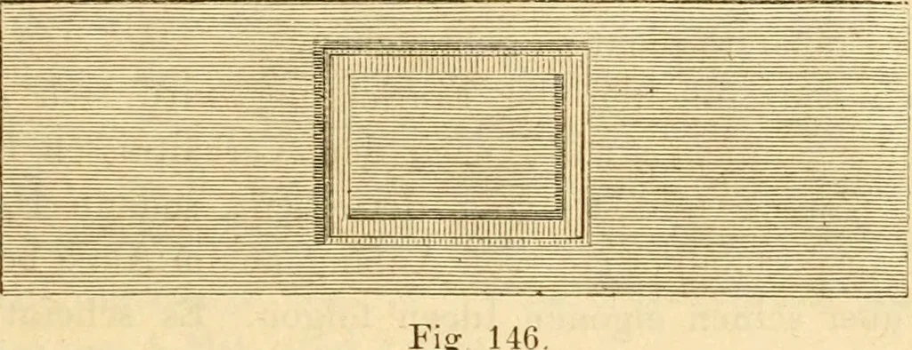 An illustration from Das Mikroskop, Theorie und Anwendung desselben, 1867, leaf 292