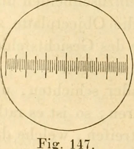 An illustration from Das Mikroskop, Theorie und Anwendung desselben, 1867, leaf 293