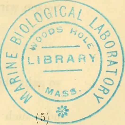 An illustration from Das Mikroskop, Theorie und Anwendung desselben, 1867, leaf 30