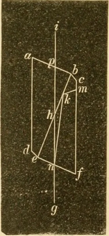 An illustration from Das Mikroskop, Theorie und Anwendung desselben, 1867, leaf 312