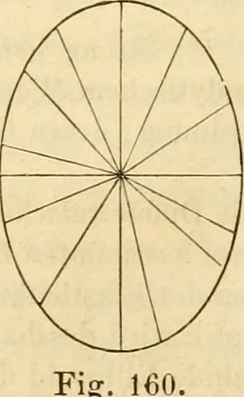 An illustration from Das Mikroskop, Theorie und Anwendung desselben, 1867, leaf 326