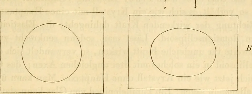 An illustration from Das Mikroskop, Theorie und Anwendung desselben, 1867, leaf 328