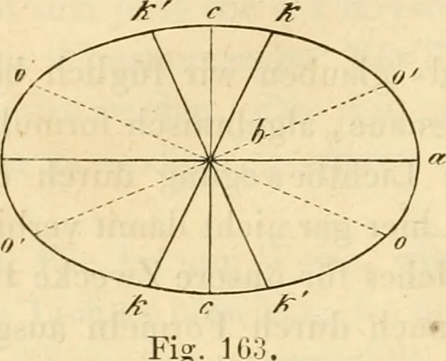 An illustration from Das Mikroskop, Theorie und Anwendung desselben, 1867, leaf 331