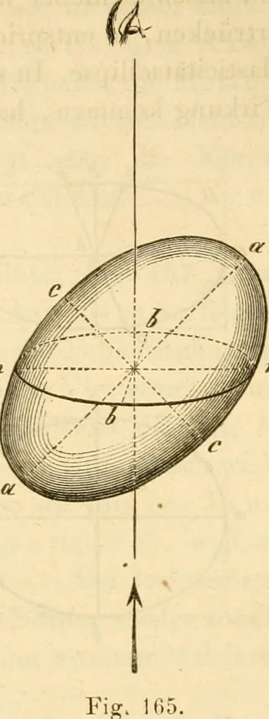 An illustration from Das Mikroskop, Theorie und Anwendung desselben, 1867, leaf 332