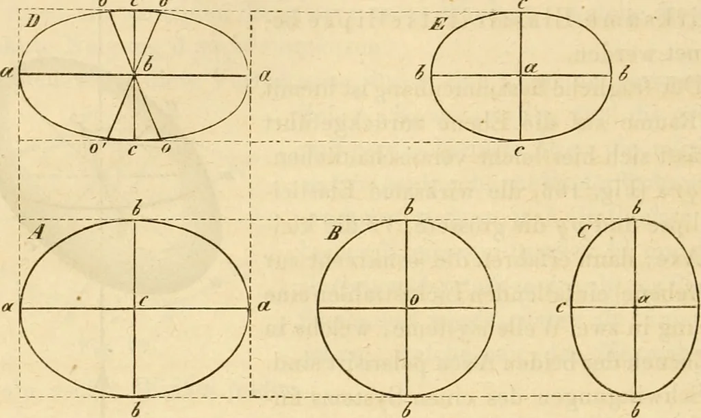 An illustration from Das Mikroskop, Theorie und Anwendung desselben, 1867, leaf 333