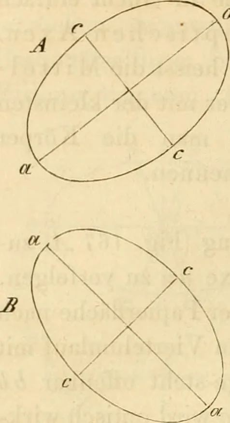 An illustration from Das Mikroskop, Theorie und Anwendung desselben, 1867, leaf 335