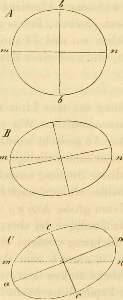 An illustration from Das Mikroskop, Theorie und Anwendung desselben, 1867, leaf 335