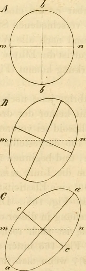An illustration from Das Mikroskop, Theorie und Anwendung desselben, 1867, leaf 335