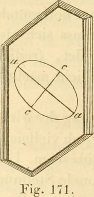 An illustration from Das Mikroskop, Theorie und Anwendung desselben, 1867, leaf 339