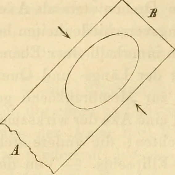 An illustration from Das Mikroskop, Theorie und Anwendung desselben, 1867, leaf 341