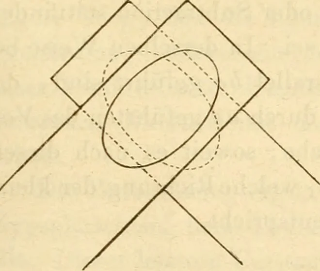 An illustration from Das Mikroskop, Theorie und Anwendung desselben, 1867, leaf 342