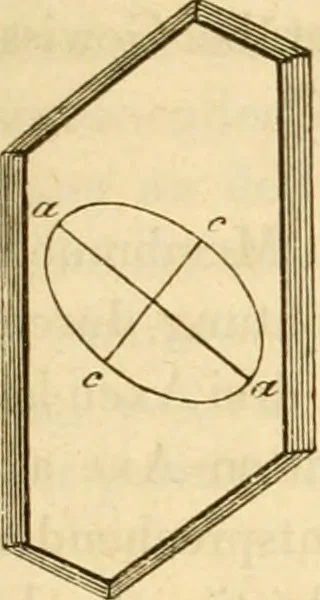 An illustration from Das Mikroskop, Theorie und Anwendung desselben, 1867, leaf 344