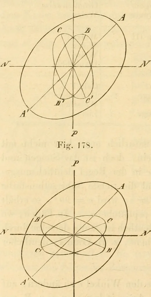 An illustration from Das Mikroskop, Theorie und Anwendung desselben, 1867, leaf 353