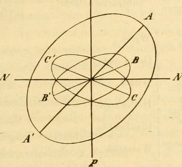 An illustration from Das Mikroskop, Theorie und Anwendung desselben, 1867, leaf 354