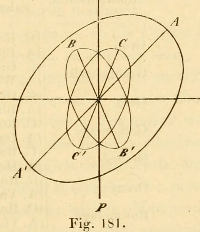 An illustration from Das Mikroskop, Theorie und Anwendung desselben, 1867, leaf 354