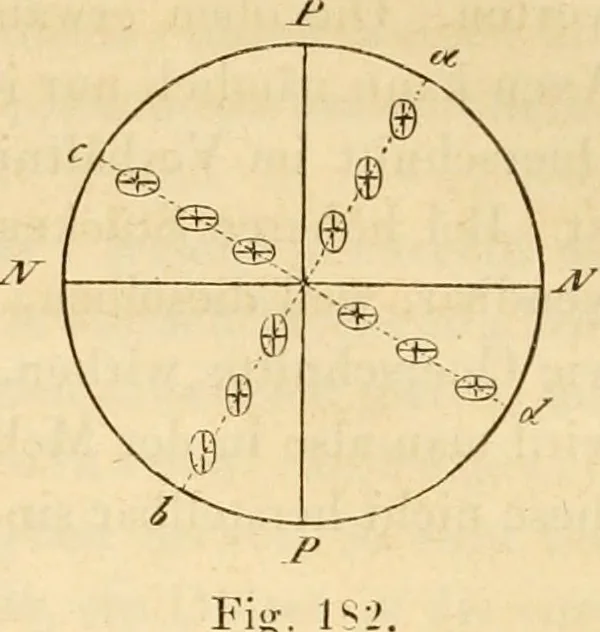 An illustration from Das Mikroskop, Theorie und Anwendung desselben, 1867, leaf 358