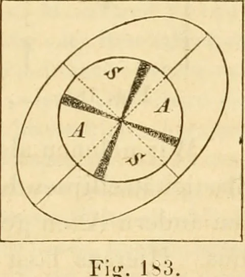 An illustration from Das Mikroskop, Theorie und Anwendung desselben, 1867, leaf 358