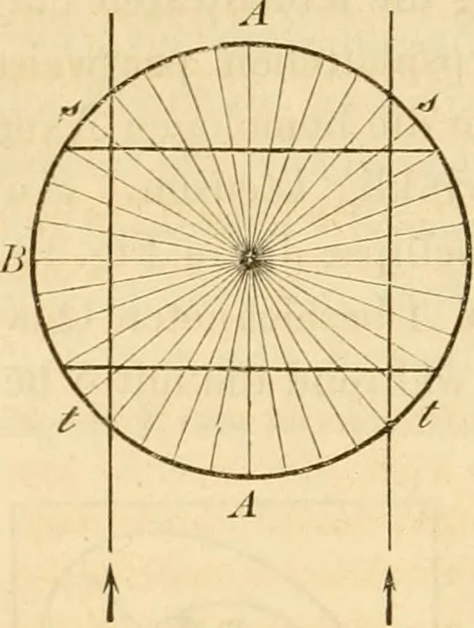 An illustration from Das Mikroskop, Theorie und Anwendung desselben, 1867, leaf 359