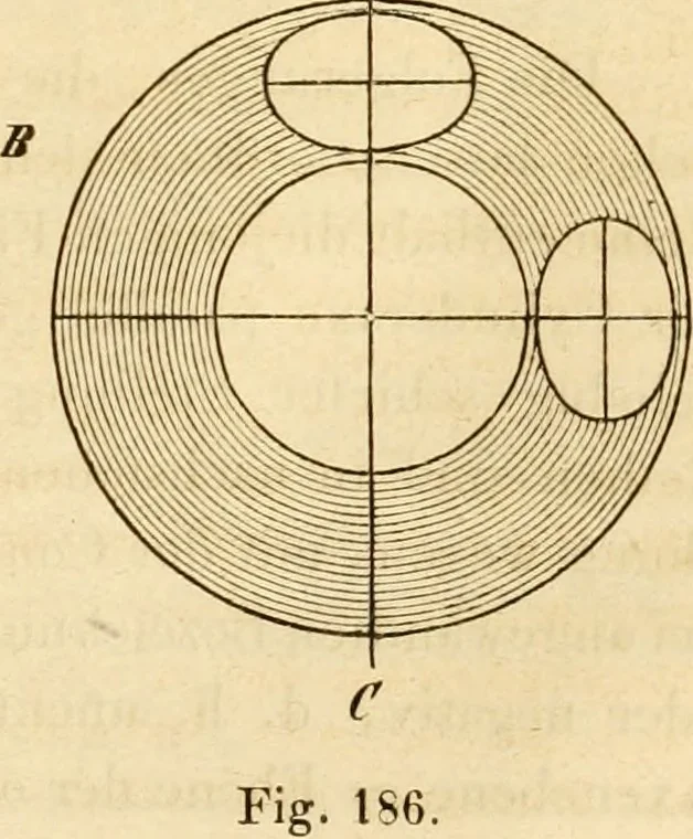 An illustration from Das Mikroskop, Theorie und Anwendung desselben, 1867, leaf 362