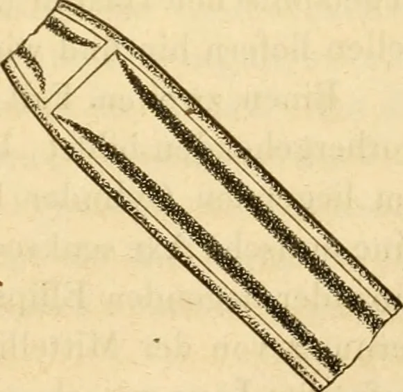 An illustration from Das Mikroskop, Theorie und Anwendung desselben, 1867, leaf 366