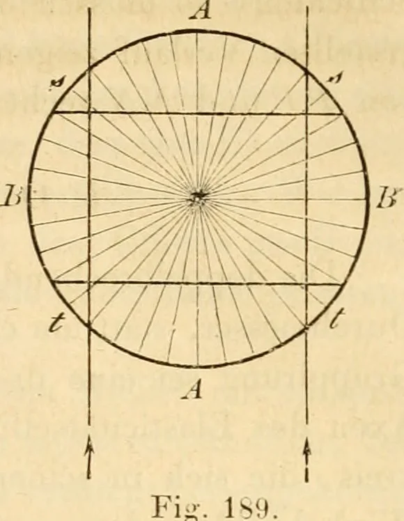 An illustration from Das Mikroskop, Theorie und Anwendung desselben, 1867, leaf 372