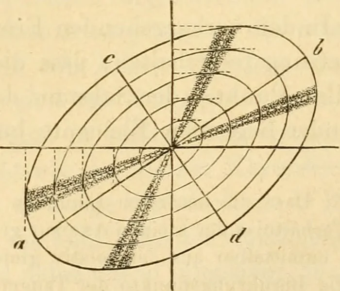 An illustration from Das Mikroskop, Theorie und Anwendung desselben, 1867, leaf 372