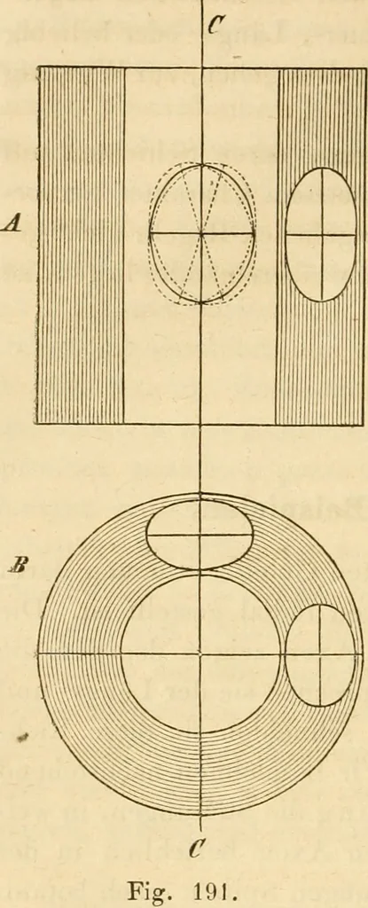 An illustration from Das Mikroskop, Theorie und Anwendung desselben, 1867, leaf 377