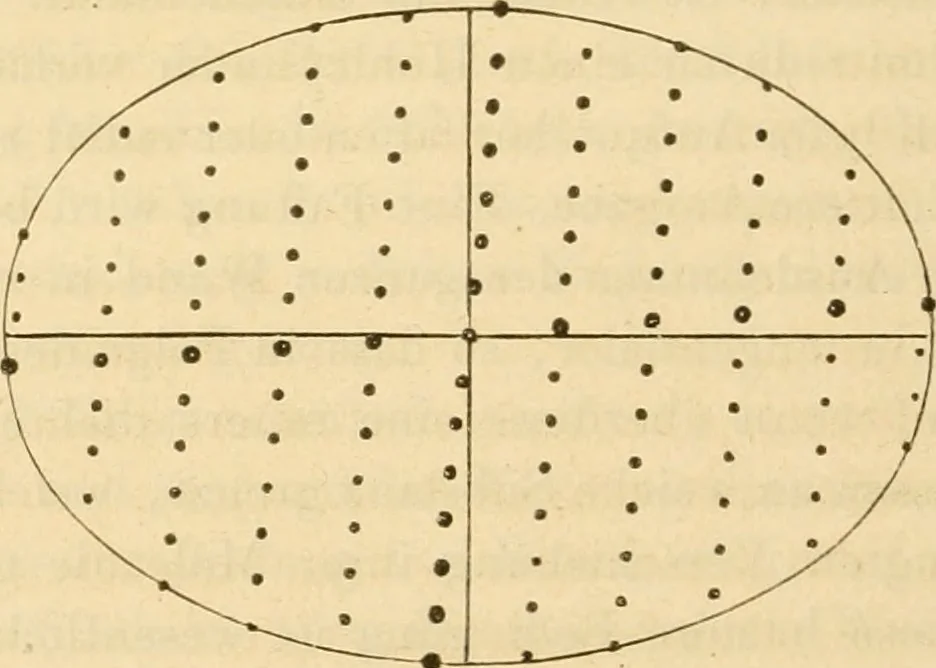 An illustration from Das Mikroskop, Theorie und Anwendung desselben, 1867, leaf 447