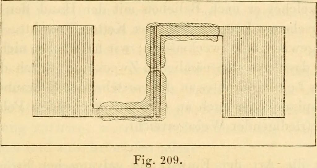 An illustration from Das Mikroskop, Theorie und Anwendung desselben, 1867, leaf 478
