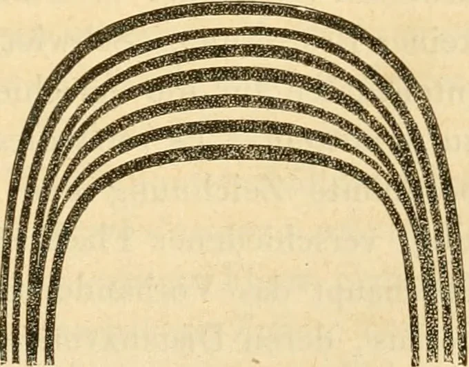 An illustration from Das Mikroskop, Theorie und Anwendung desselben, 1867, leaf 564