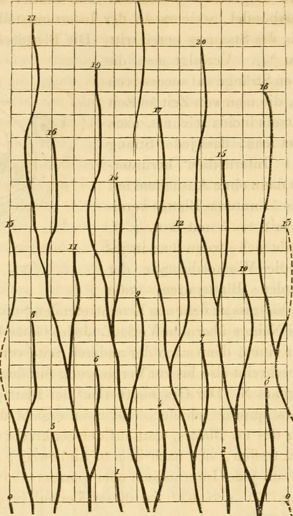 An illustration from Das Mikroskop, Theorie und Anwendung desselben, 1867, leaf 641