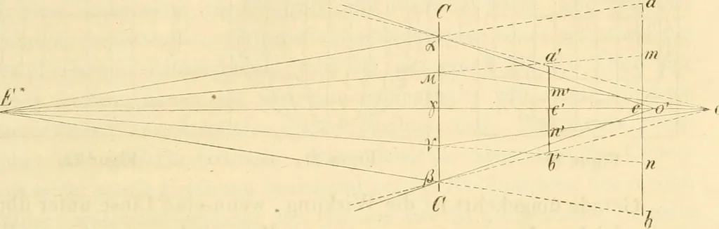 An illustration from Das Mikroskop, Theorie und Anwendung desselben, 1867, leaf 72