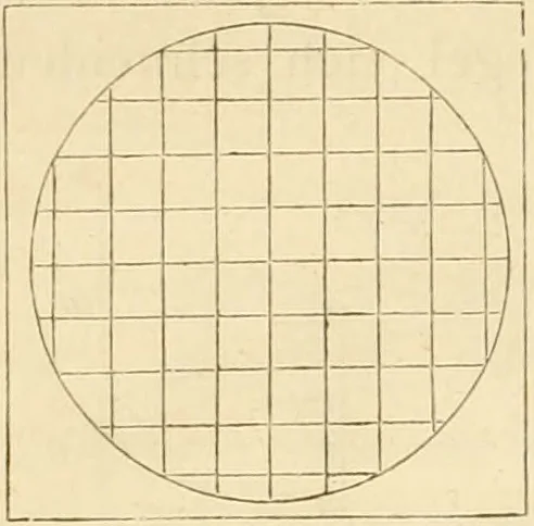 An illustration from Das Mikroskop, Theorie und Anwendung desselben, 1867, leaf 73