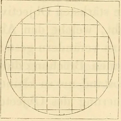 An illustration from Das Mikroskop, Theorie und Anwendung desselben, 1867, leaf 77