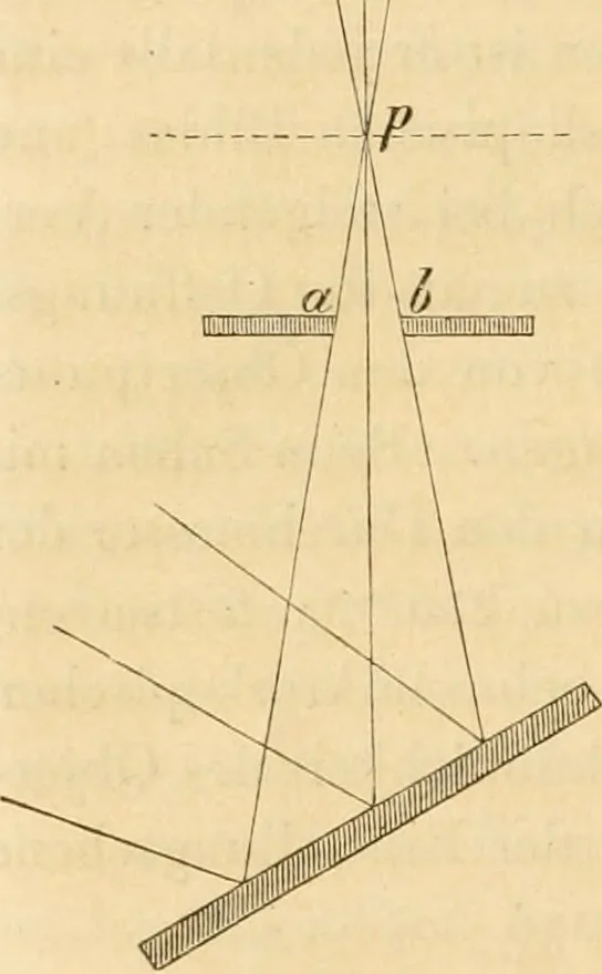 An illustration from Das Mikroskop, Theorie und Anwendung desselben, 1867, leaf 95