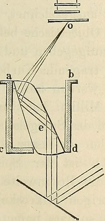 An illustration from Das mikroskop : Theorie, gebrauch, geschichte und gegenwärtiger zustand desselben, 1866, leaf 1004